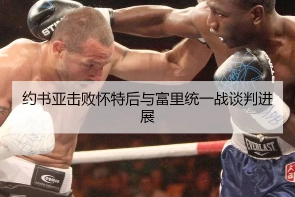 约书亚击败怀特后与富里统一战谈判进展